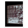 2d1157d5-175f-4ede-9c29-9b2f98086680